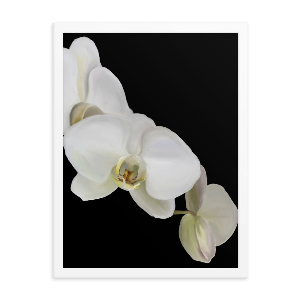 Casper’s Orchid Framed poster