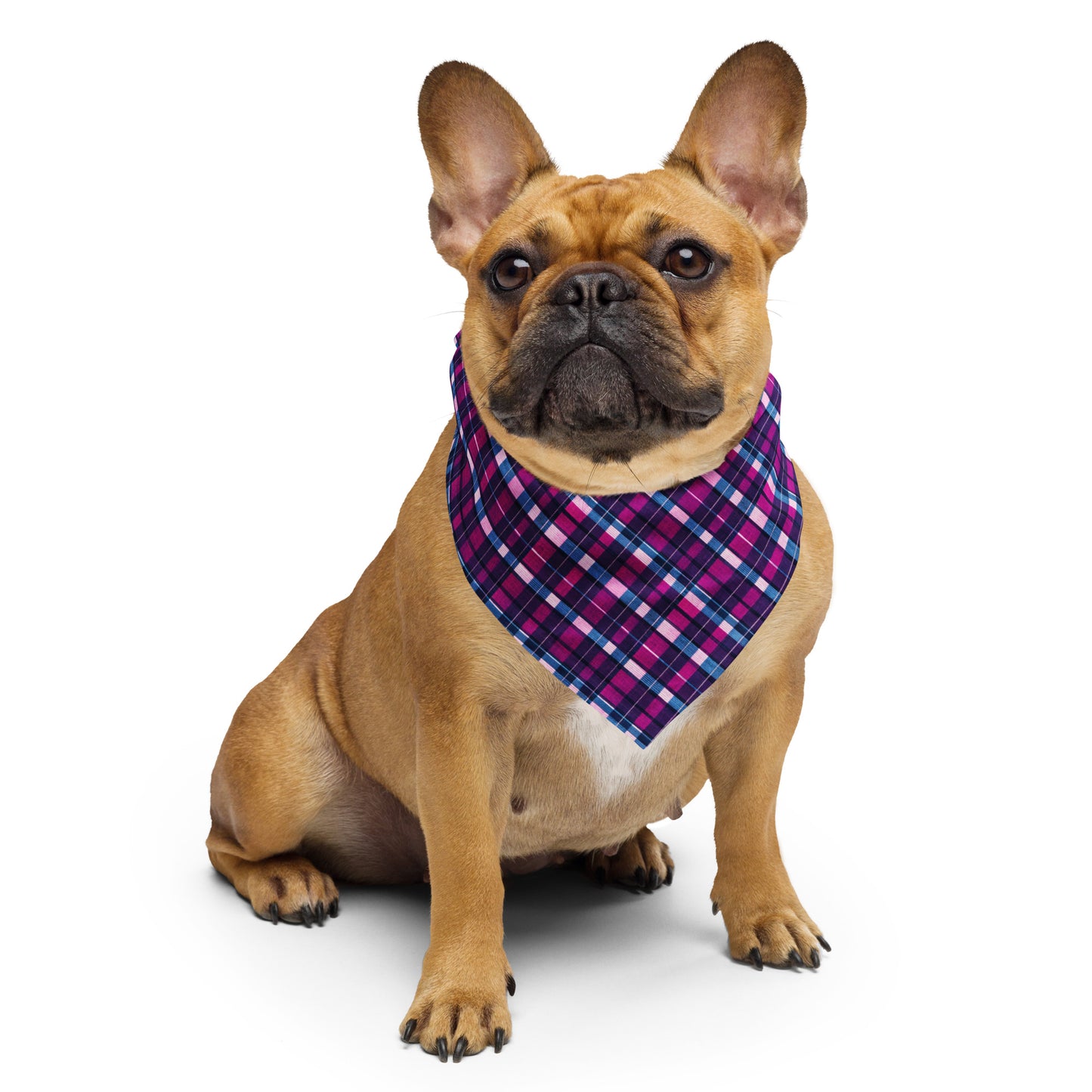 Fuchsia Fusion Check bandana