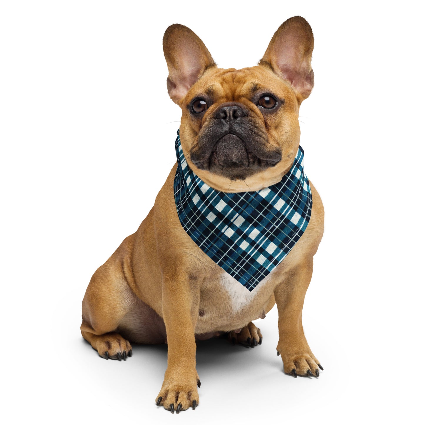 Highland Heritage Plaid bandana