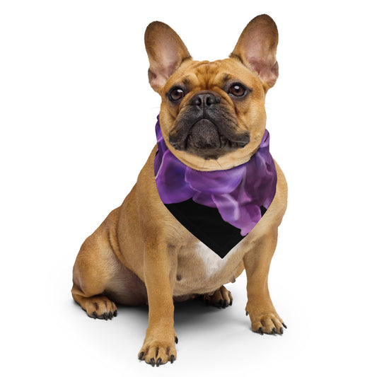 Jimmy’s Lilac Pet bandana