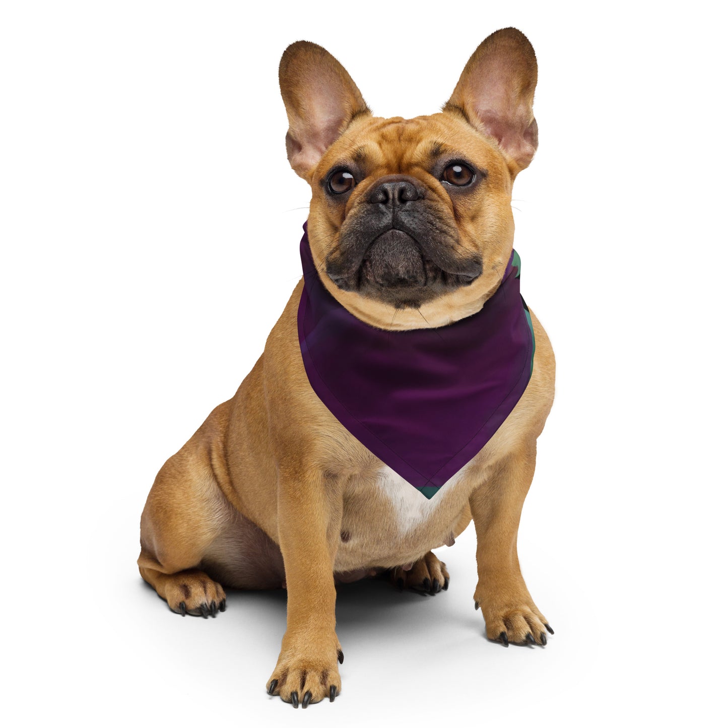 Joey’s Purple Rose bandana