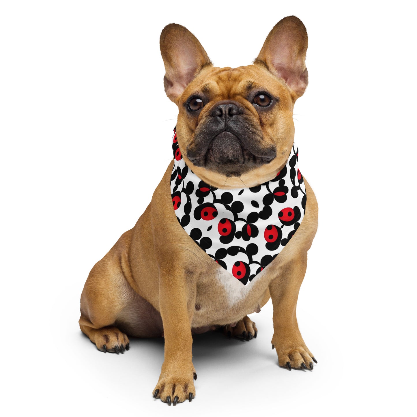 Ladybug Noir Pet bandana