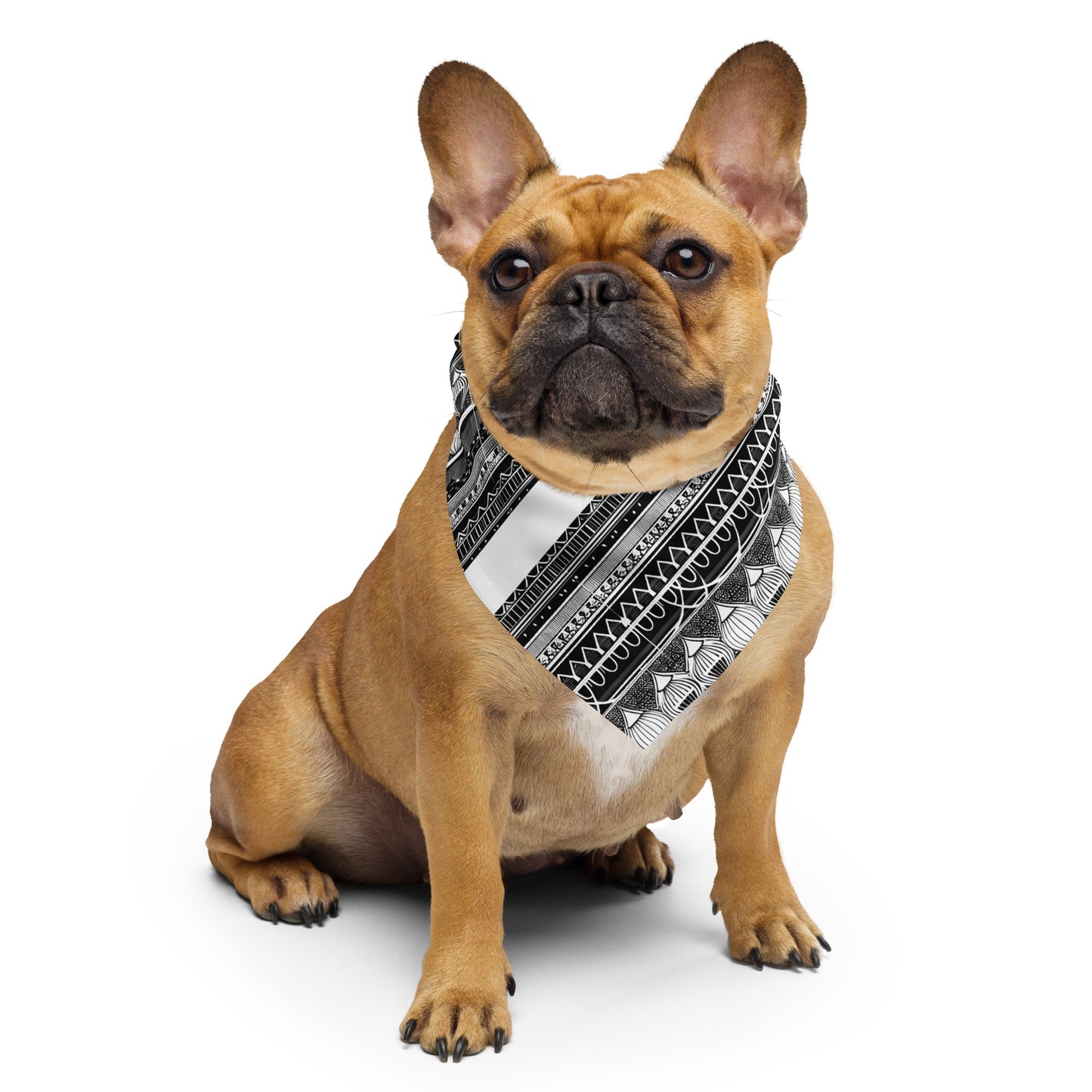 Monochrome Lanterns Pet bandana