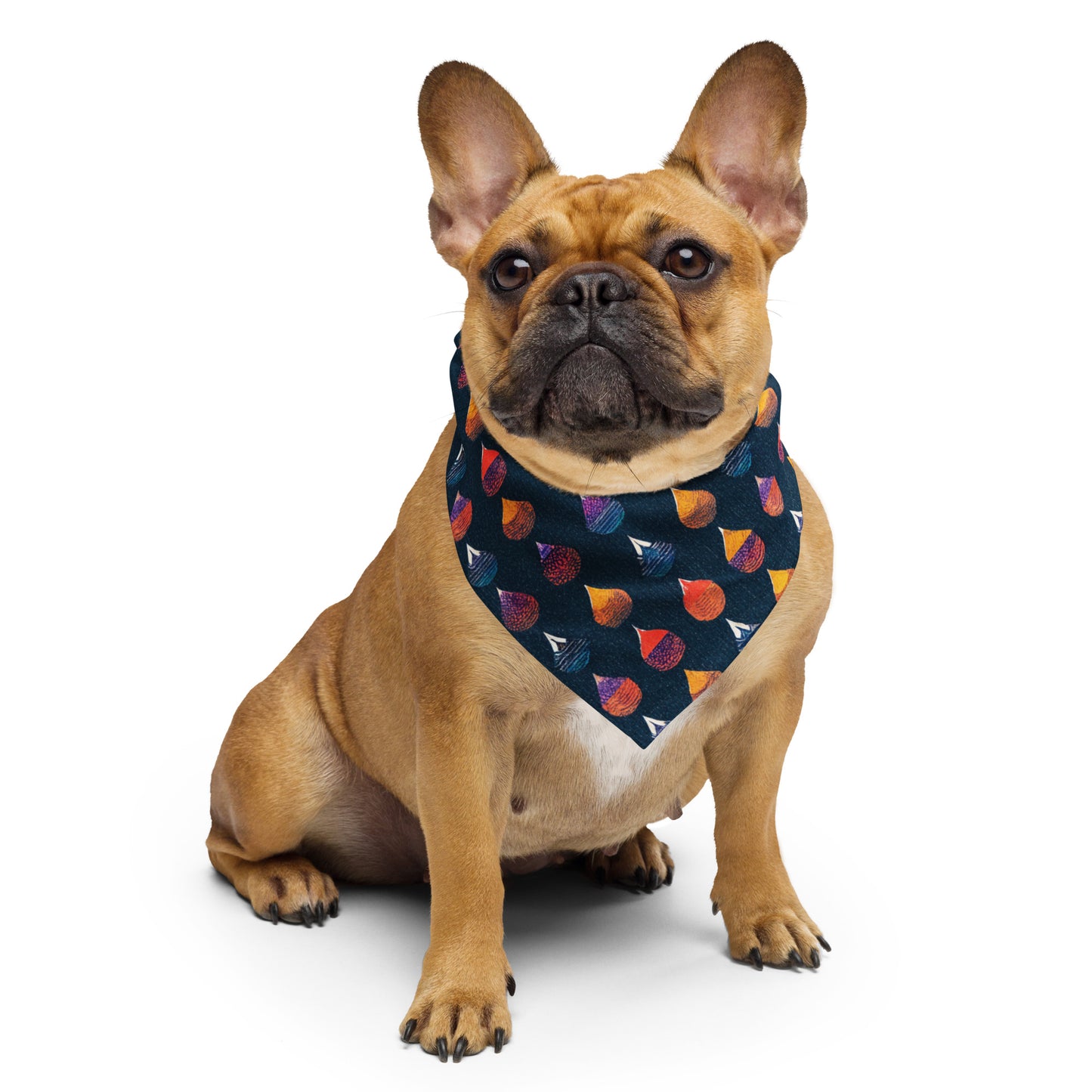 Prismatic Precipitation Pet bandana