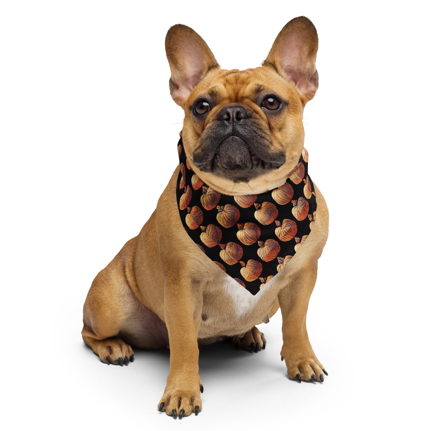 Pumpkin Spice pet bandana