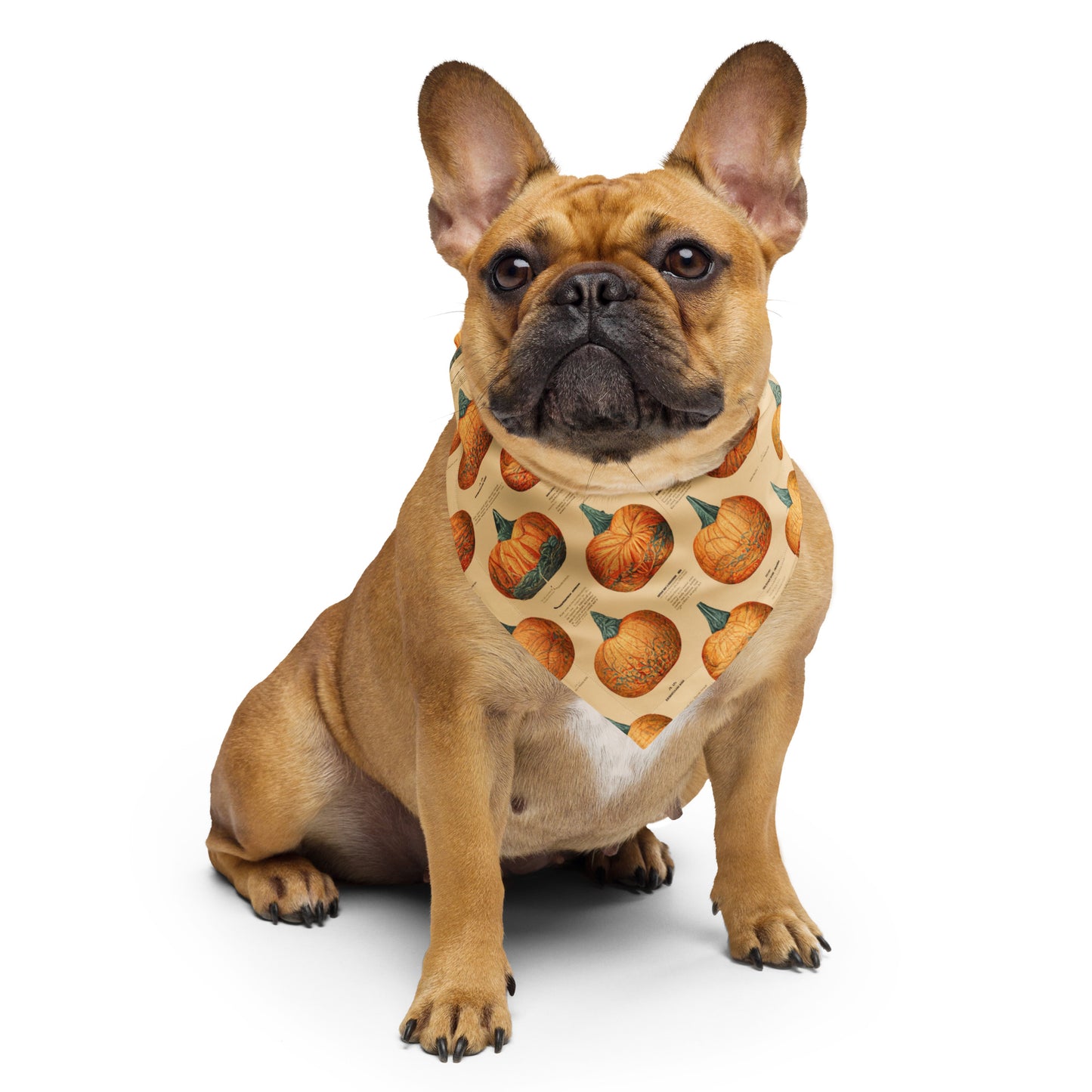 Pumpkin Patch Pet bandana