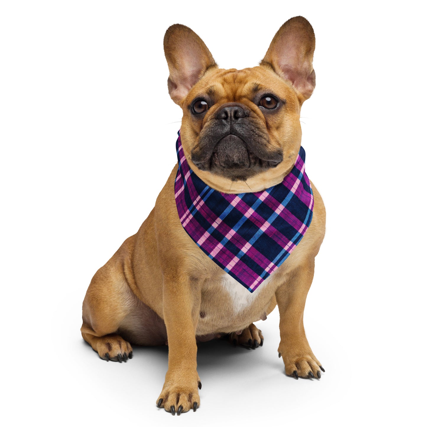 Royal Highlander Plaid bandana