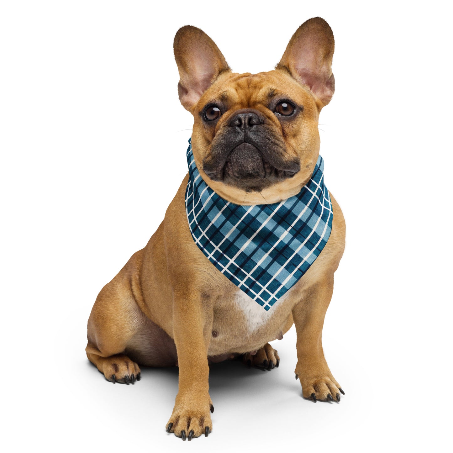 Scotsman’s Skyward Plaid Pet bandana