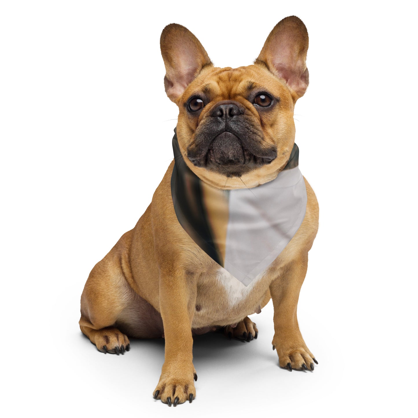 Silent Resilience Pet bandana