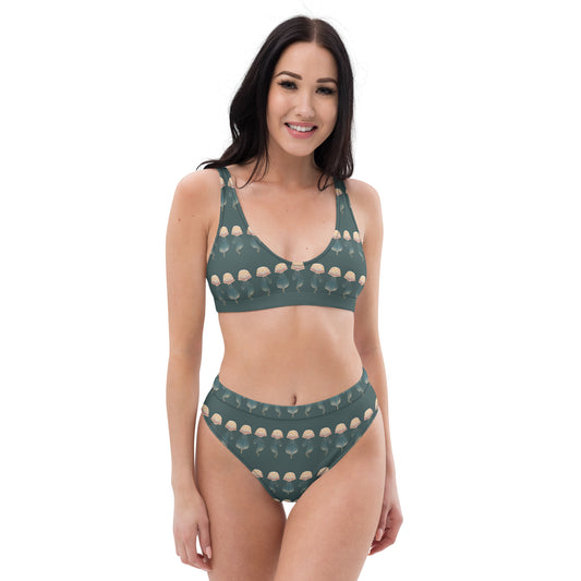 Ocean Ballet Recycled high-waisted bikini