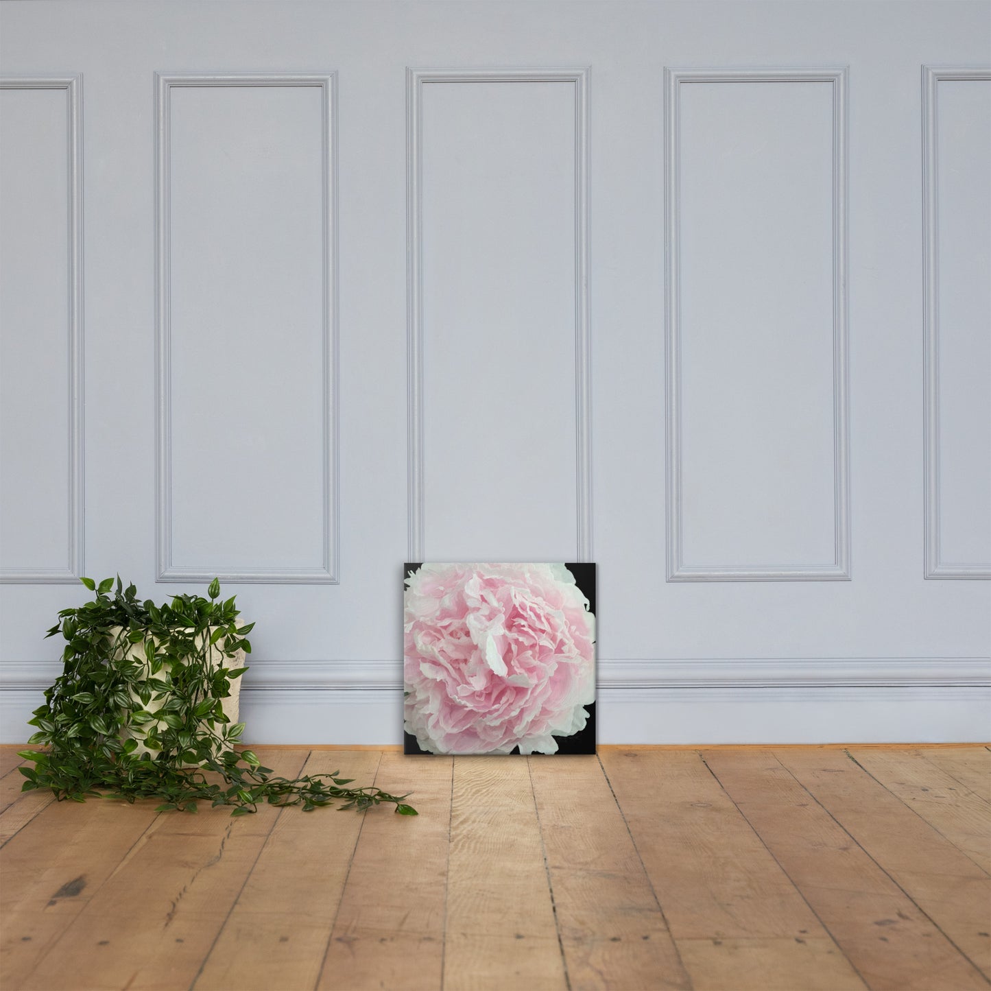 Cloey’s Peony Canvas