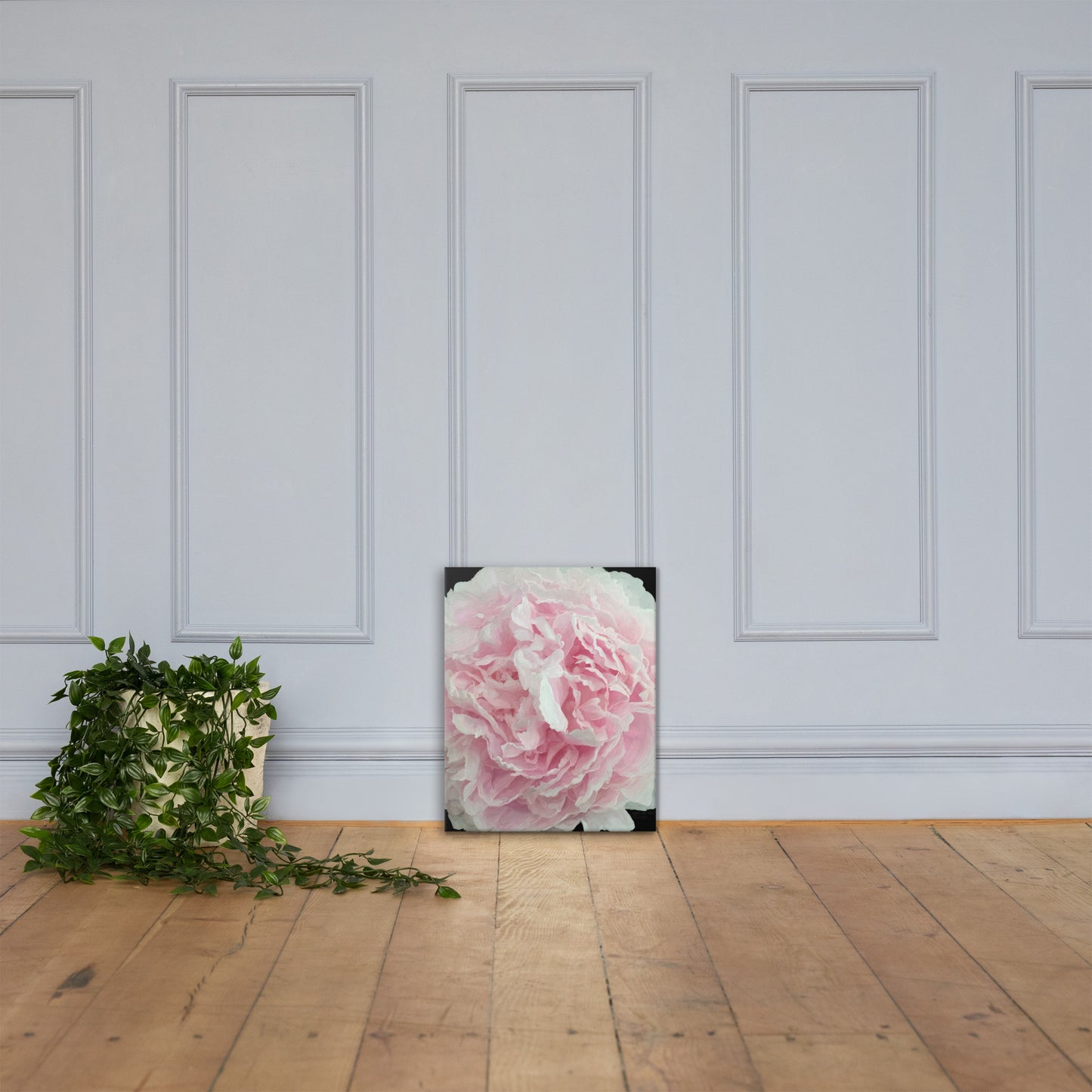 Cloey’s Peony Canvas