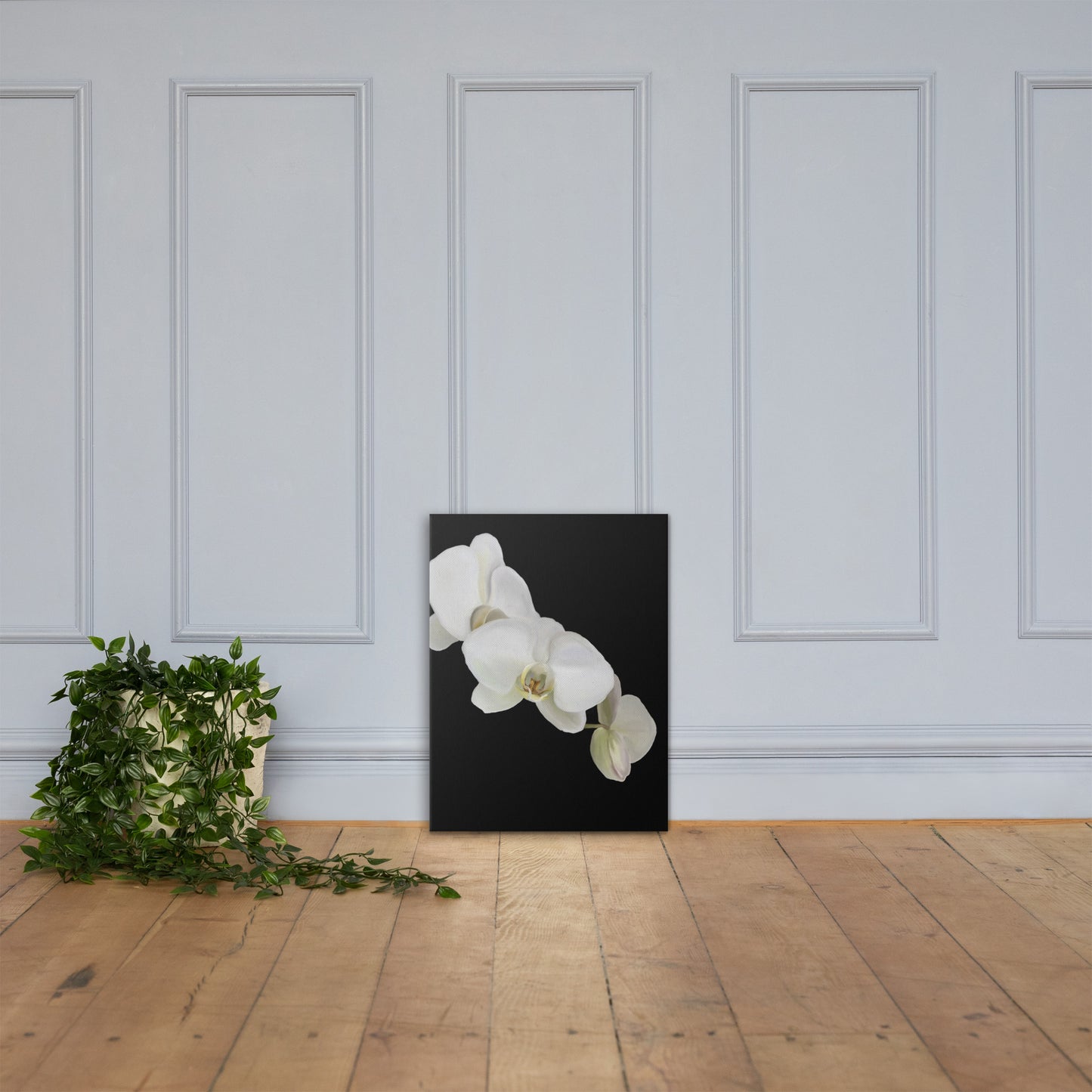 Casper’s Orchid Canvas