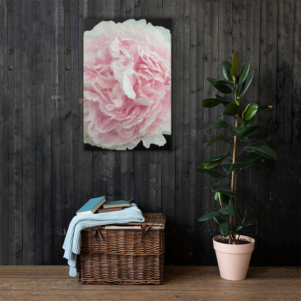 Cloey’s Peony Canvas