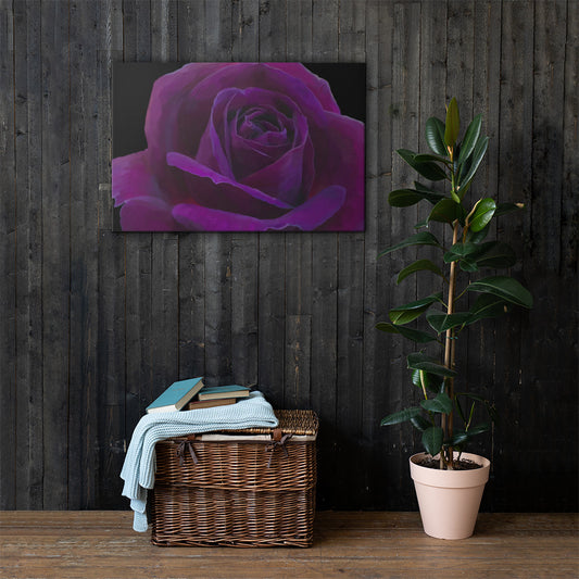 Joey’s Purple Rose Canvas