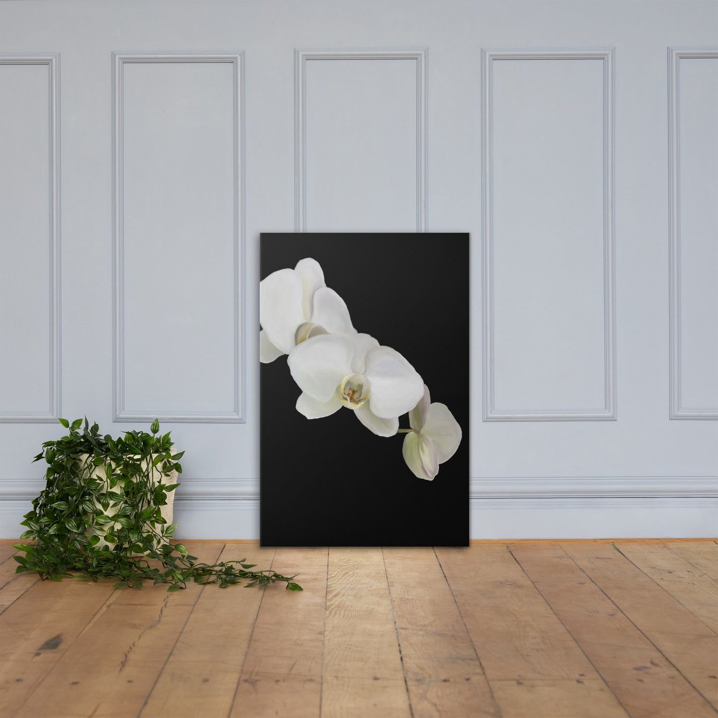 Casper’s Orchid Canvas