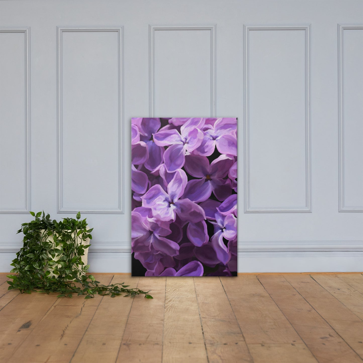 Jimmy’s Lilac Canvas