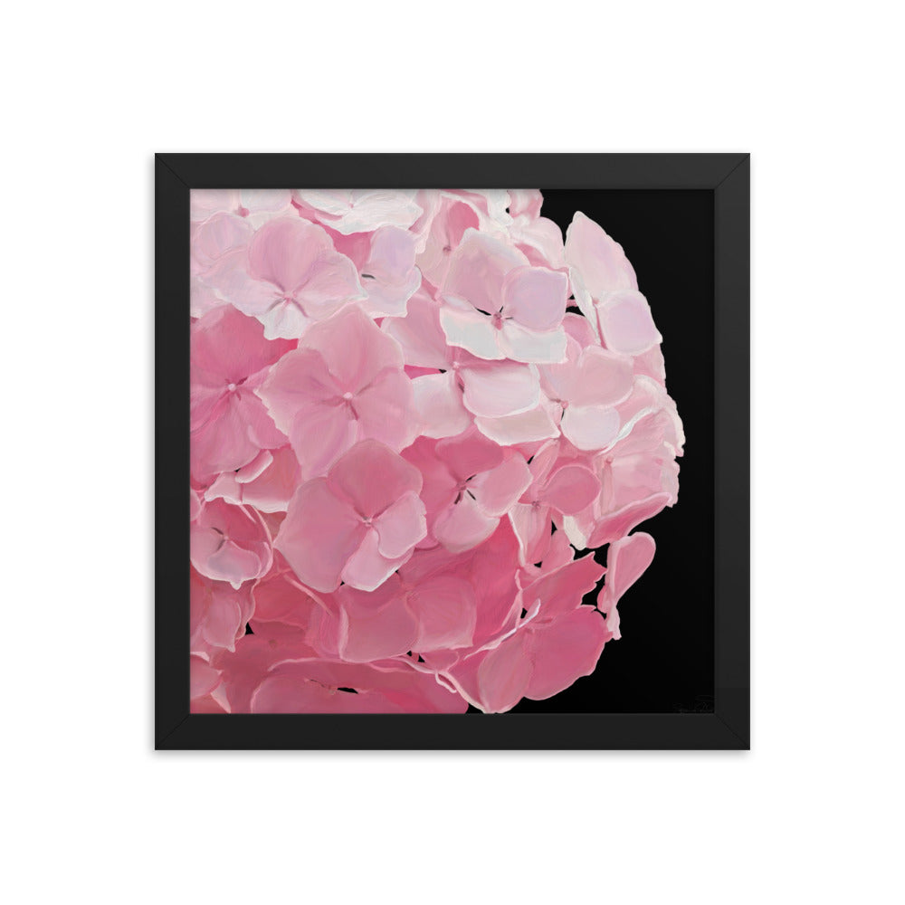 Carol’s Hydrangea Framed poster