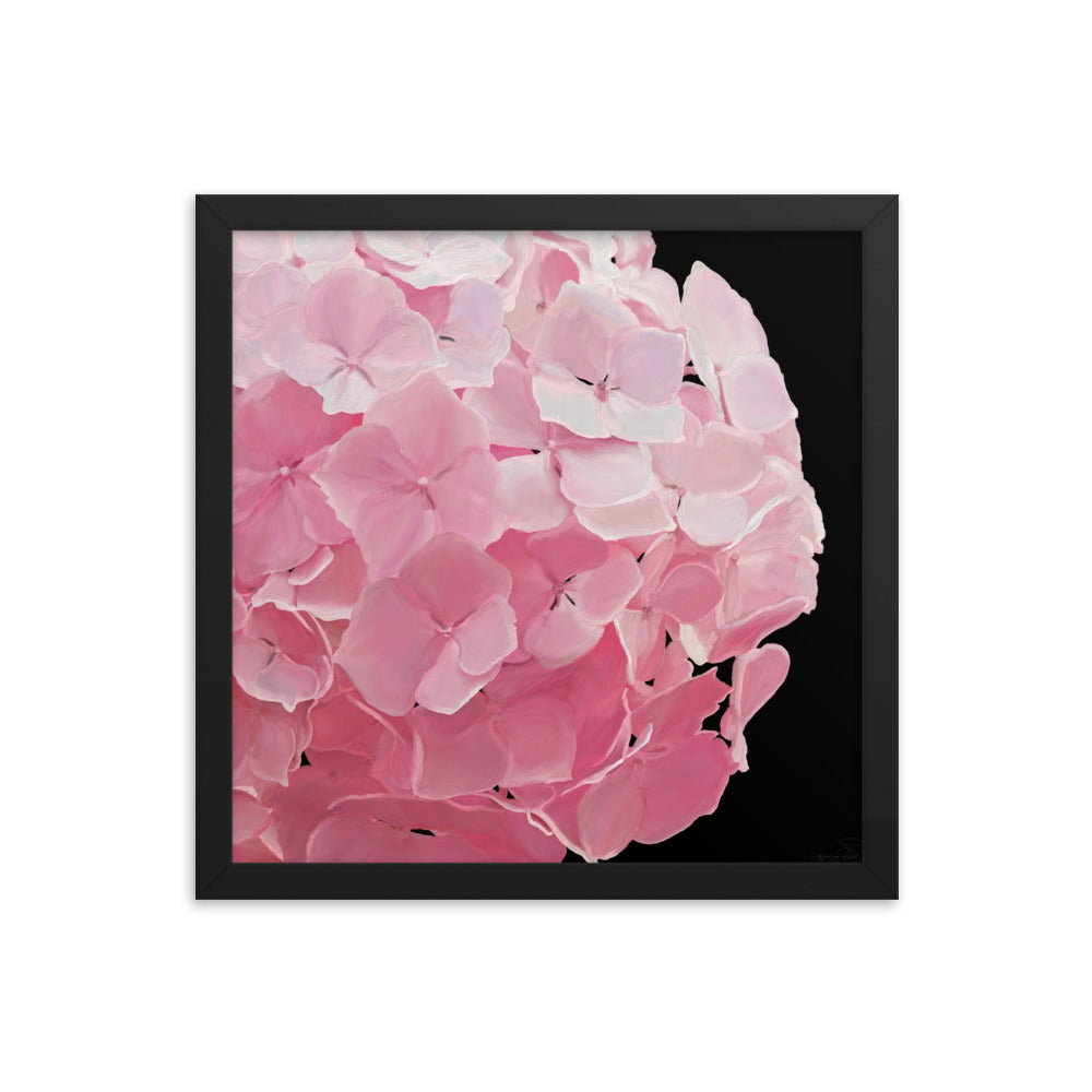 Carol’s Hydrangea Framed poster