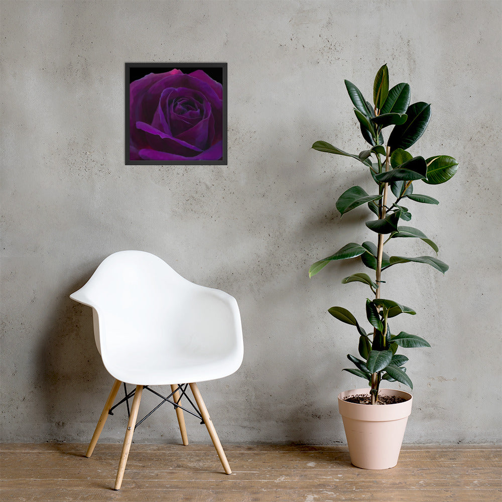 Joey’s Purple Rose Framed poster