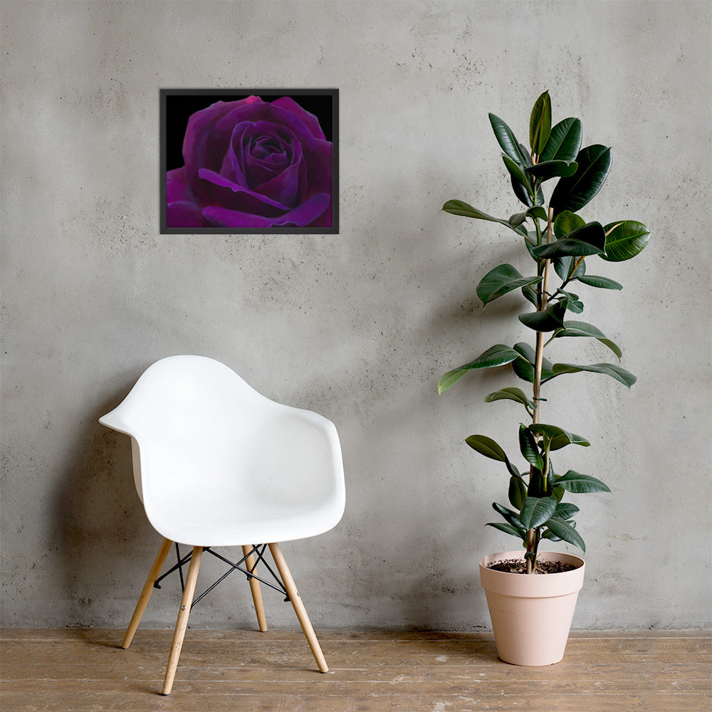 Joey’s Purple Rose Framed poster