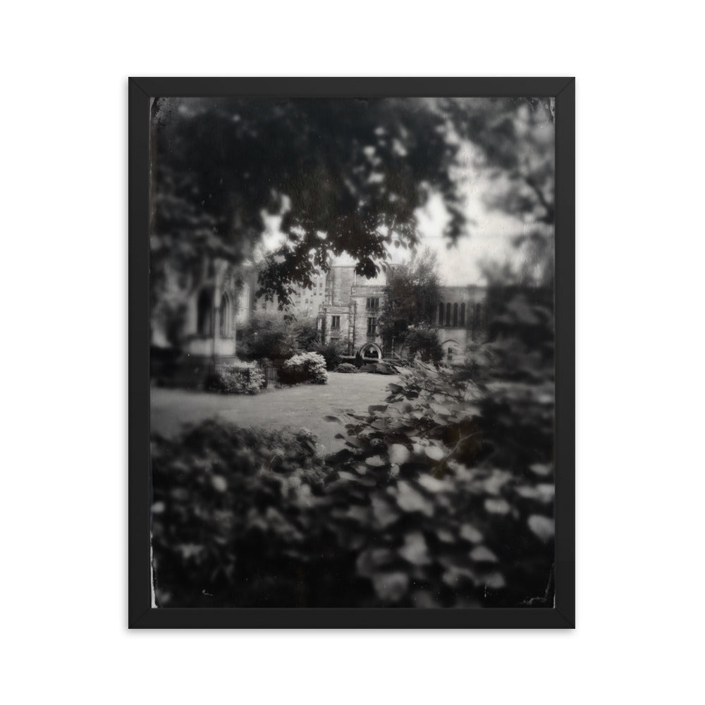 Cathedral Canopy, St John The Divine Framed poster