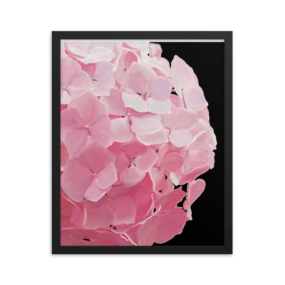 Carol’s Hydrangea Framed poster