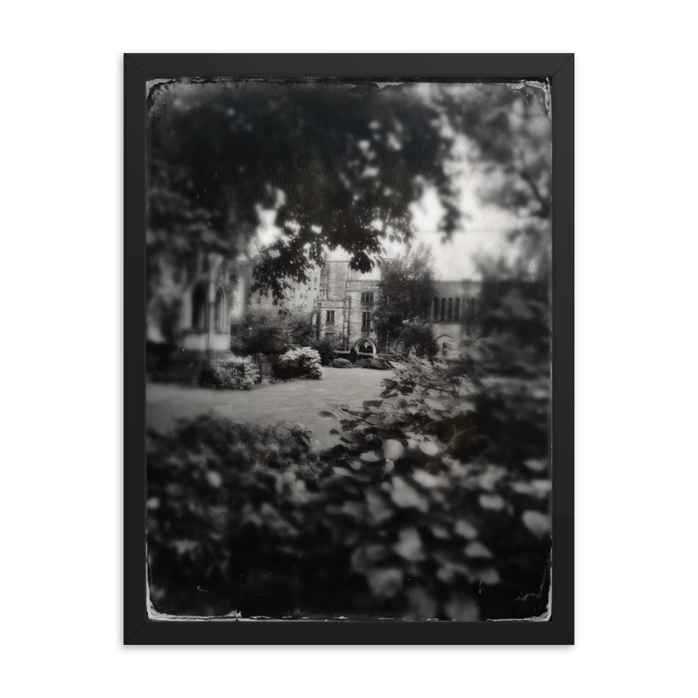 Cathedral Canopy, St John The Divine Framed poster