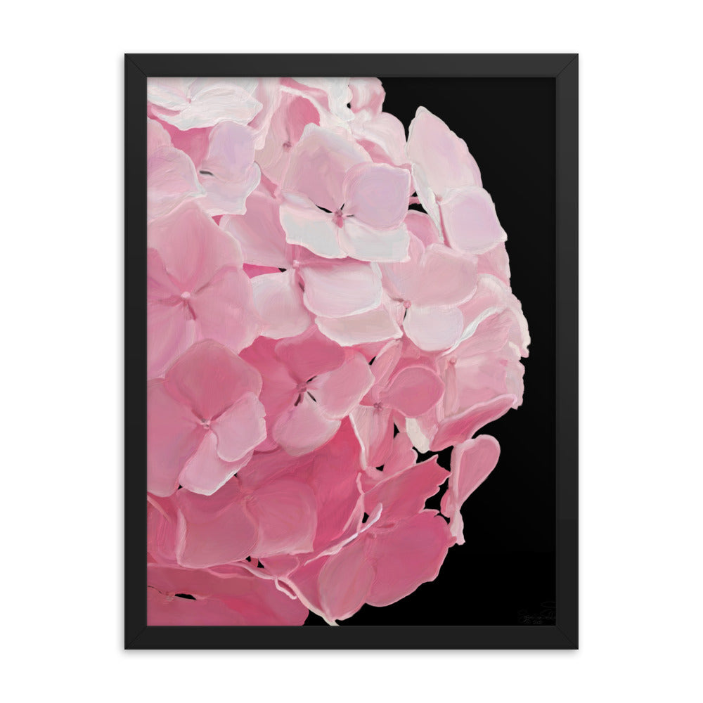 Carol’s Hydrangea Framed poster