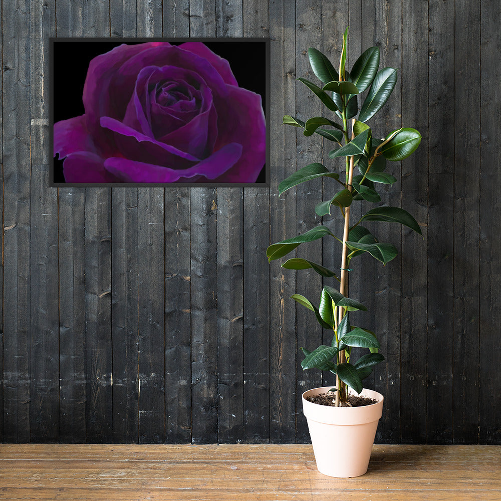 Joey’s Purple Rose Framed poster