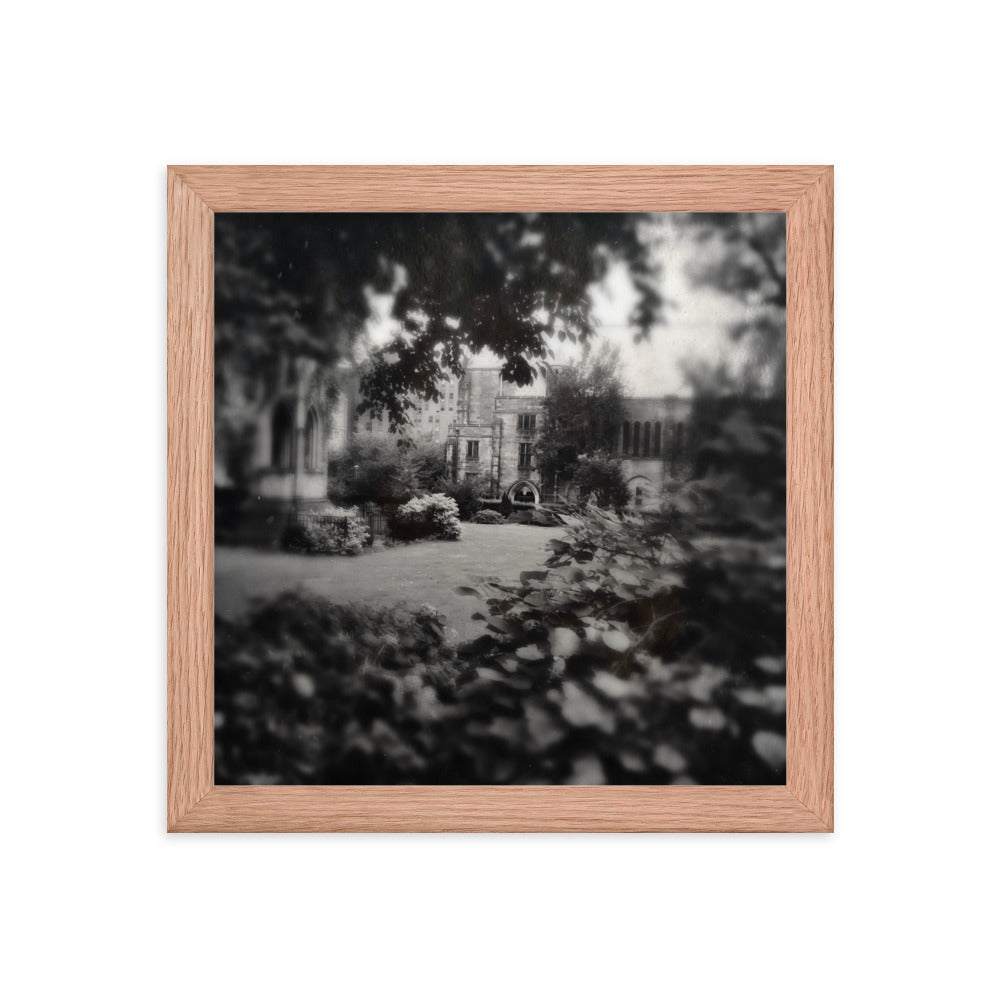 Cathedral Canopy, St John The Divine Framed poster