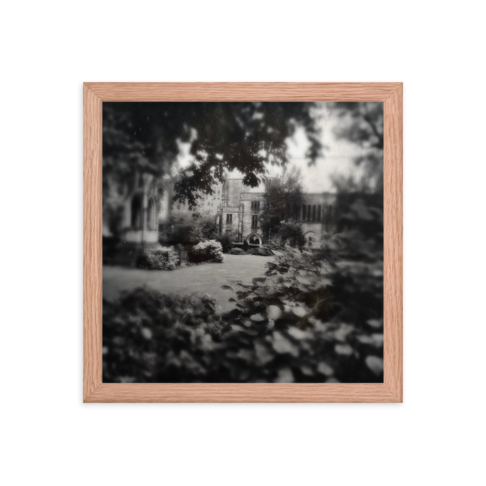 Cathedral Canopy, St John The Divine Framed poster