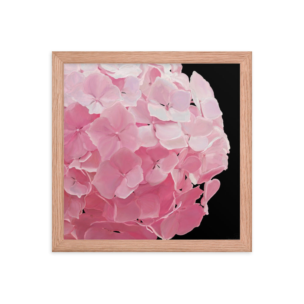 Carol’s Hydrangea Framed poster