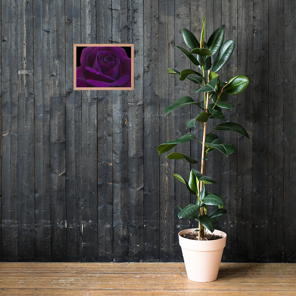 Joey’s Purple Rose Framed poster