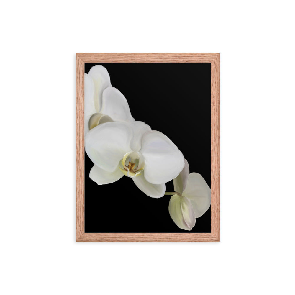 Casper’s Orchid  Framed poster