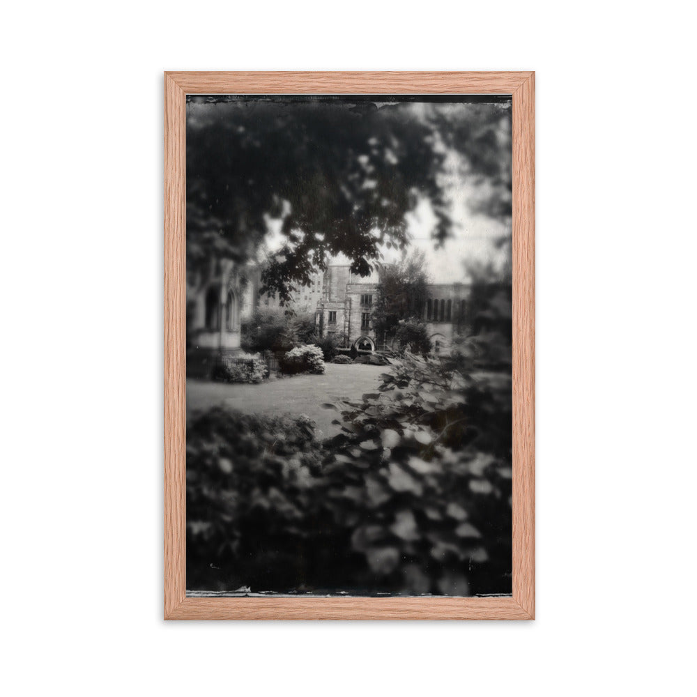 Cathedral Canopy, St John The Divine Framed poster