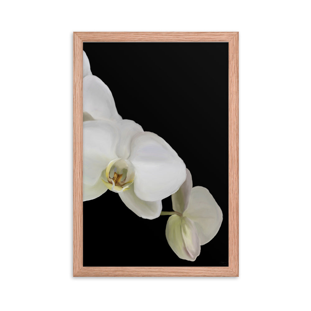 Casper’s Orchid  Framed poster