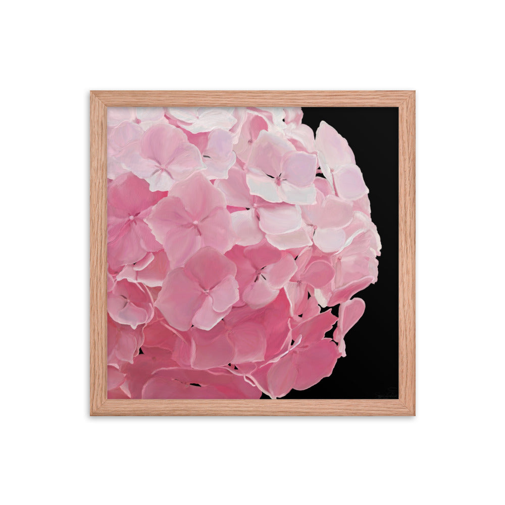 Carol’s Hydrangea Framed poster