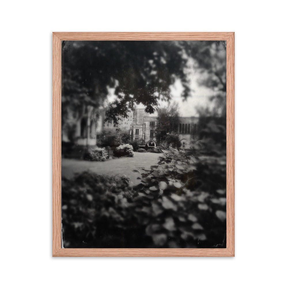 Cathedral Canopy, St John The Divine Framed poster