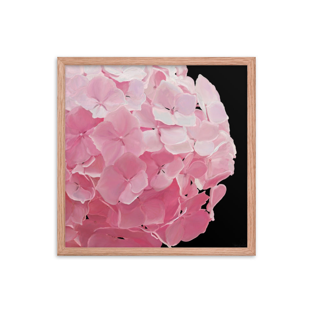 Carol’s Hydrangea Framed poster