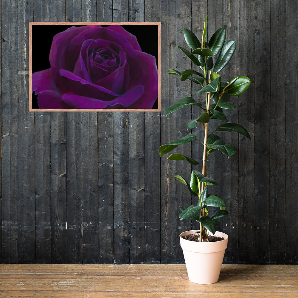 Joey’s Purple Rose Framed poster