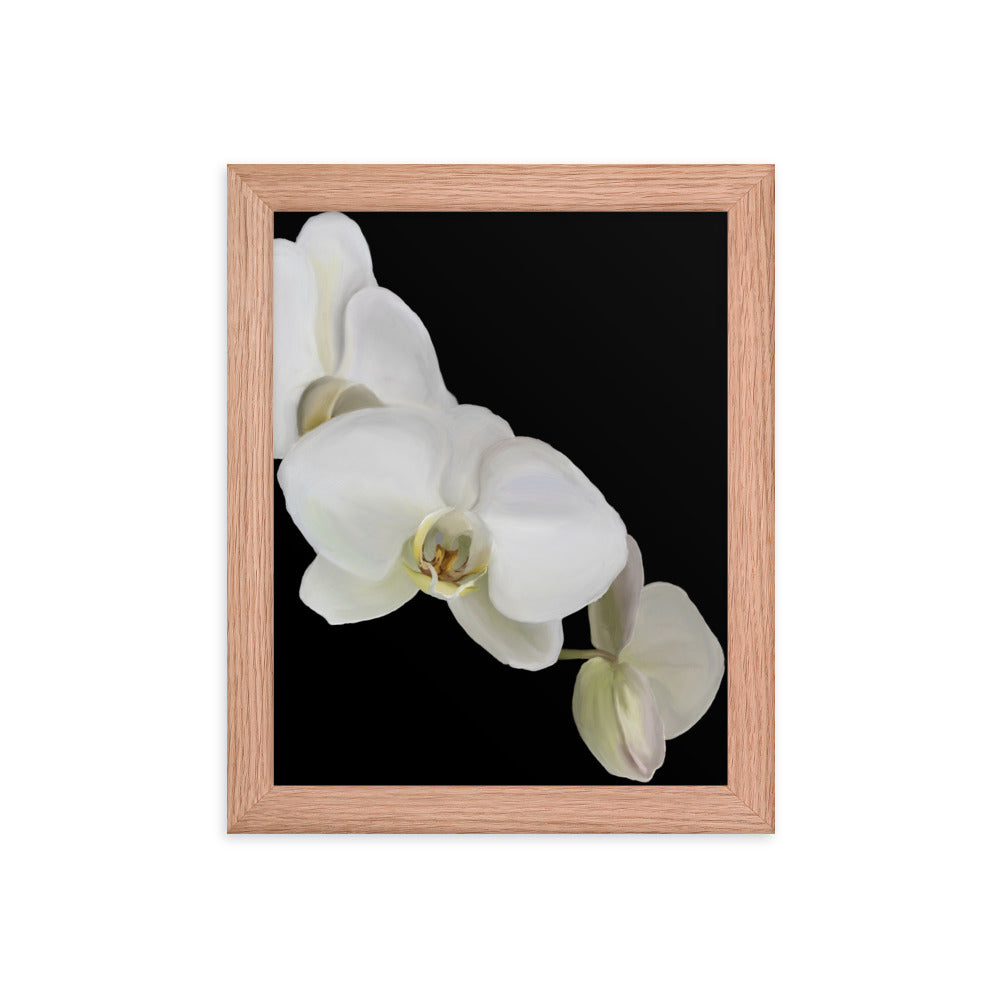 Casper’s Orchid  Framed poster