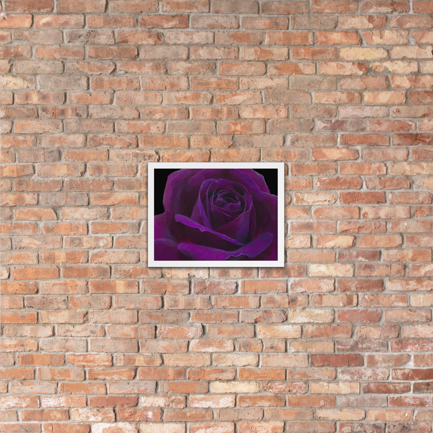 Joey’s Purple Rose Framed poster