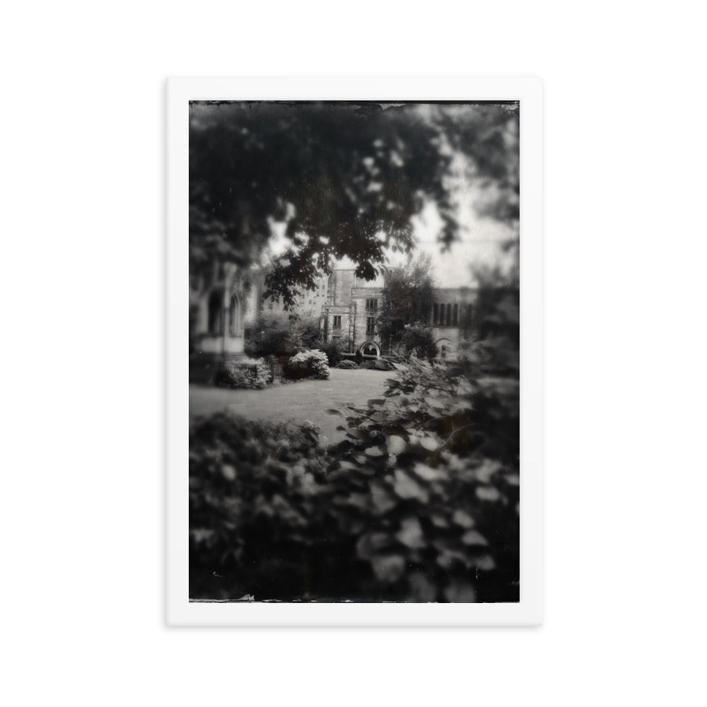 Cathedral Canopy, St John The Divine Framed poster