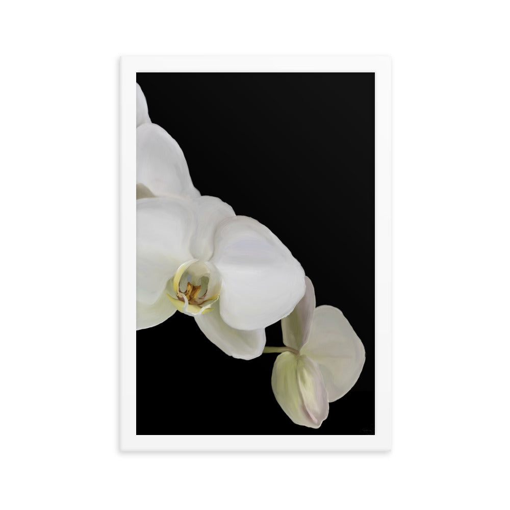 Casper’s Orchid  Framed poster