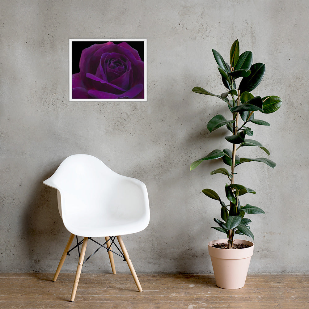 Joey’s Purple Rose Framed poster