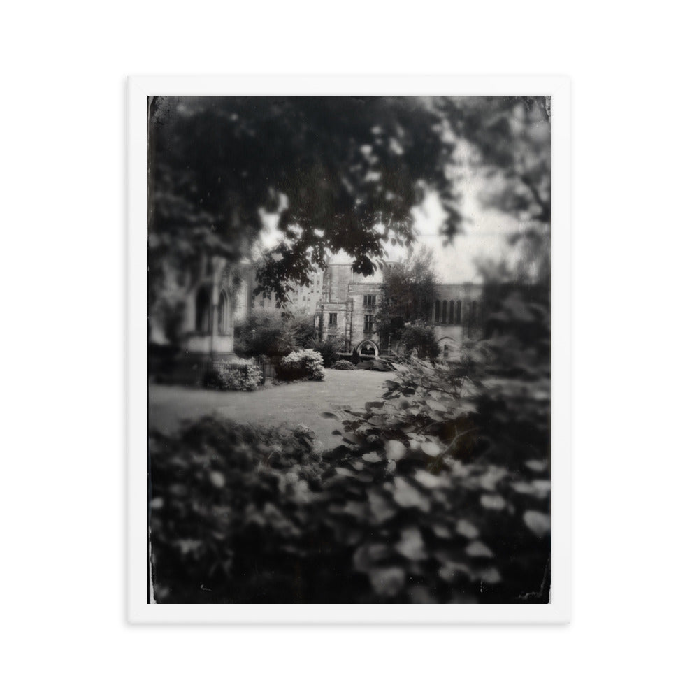 Cathedral Canopy, St John The Divine Framed poster