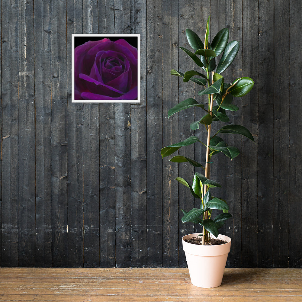 Joey’s Purple Rose Framed poster