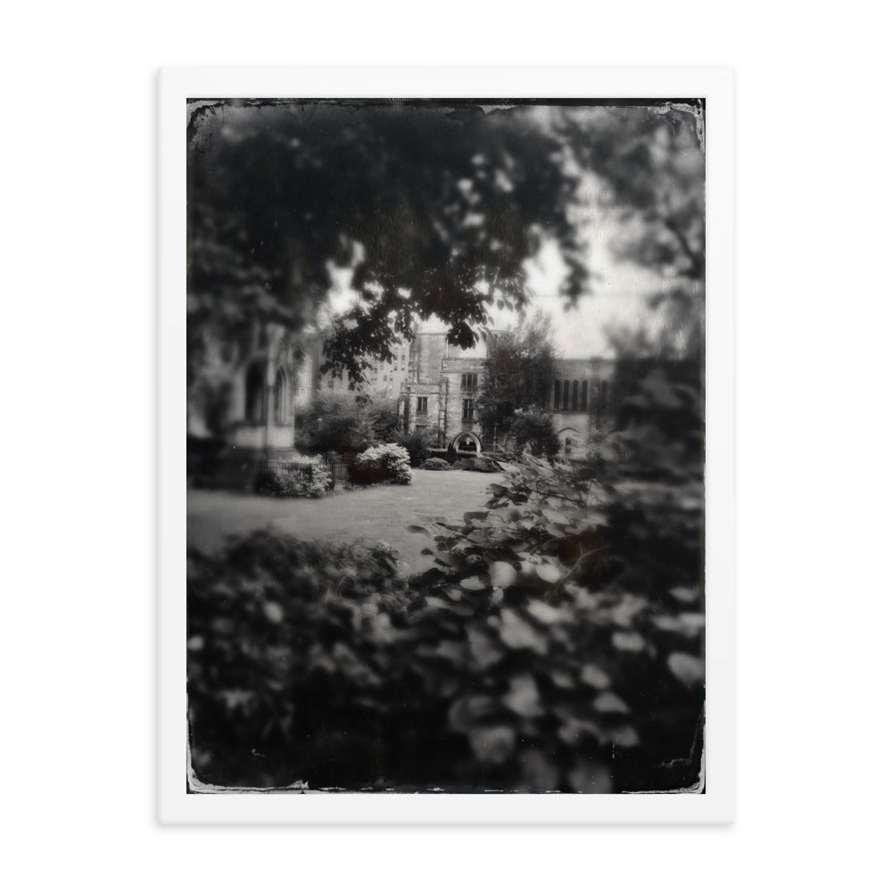 Cathedral Canopy, St John The Divine Framed poster