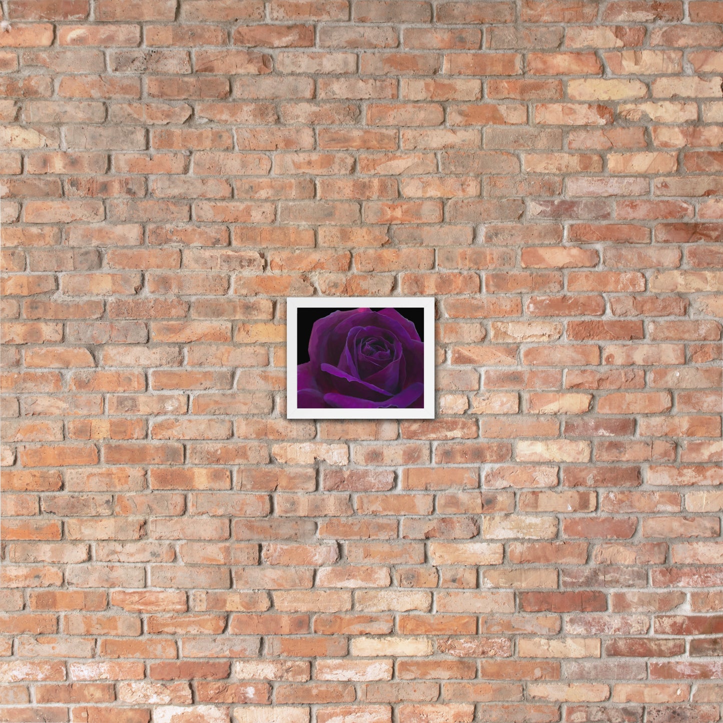 Joey’s Purple Rose Framed poster